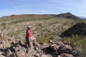 Devil's Highway PSR146