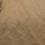 China Blog 4 045